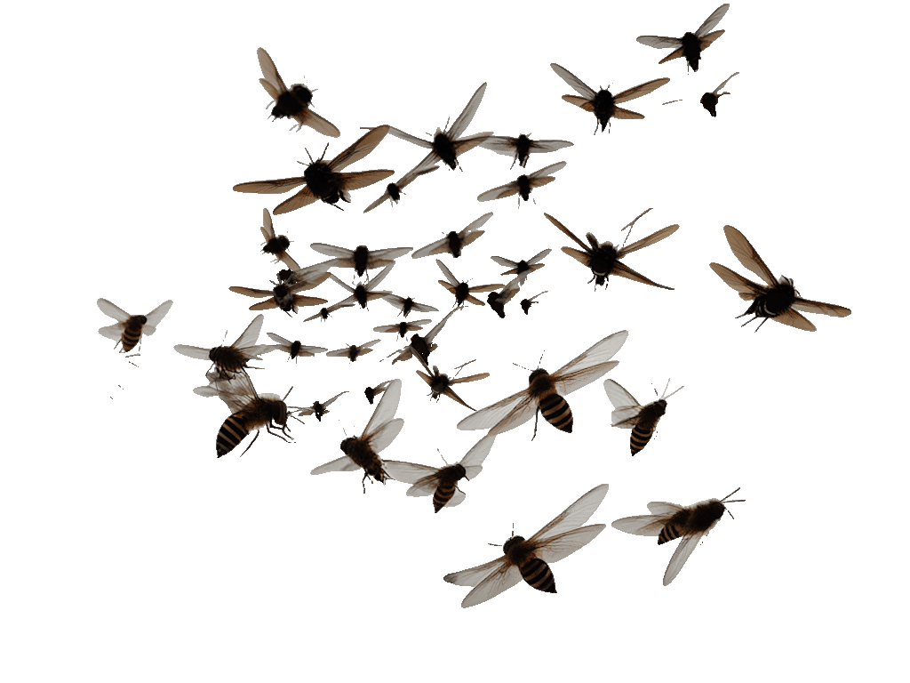 Carrion Swarm