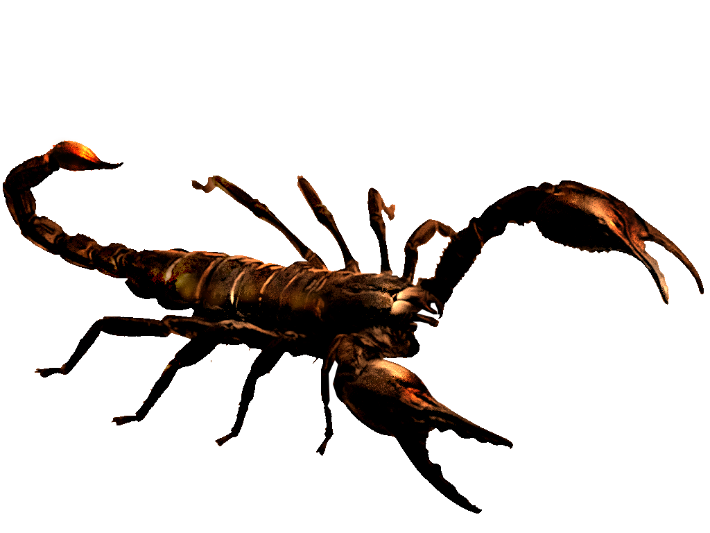 Scorpion (Giant)