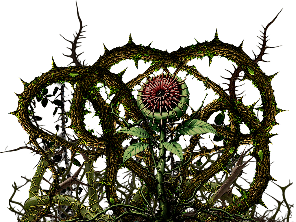 Thorn Creeper